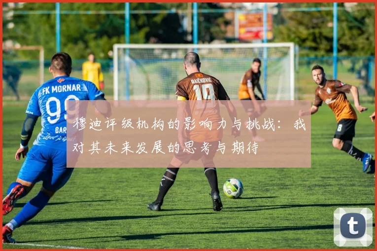 穆迪评级机构的影响力与挑战：我对其未来发展的思考与期待