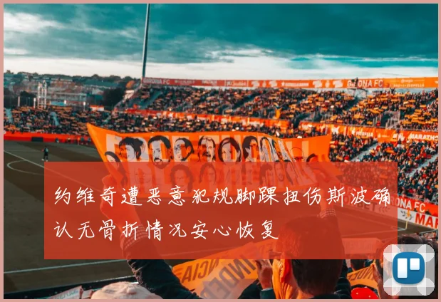 约维奇遭恶意犯规脚踝扭伤斯波确认无骨折情况安心恢复